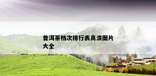 普洱茶档次排行表高清图片大全