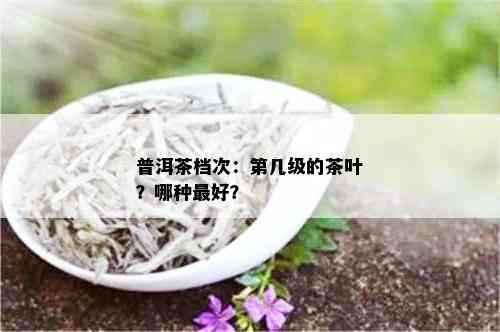 普洱茶档次：第几级的茶叶？哪种更好？