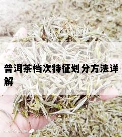 普洱茶档次特征划分方法详解