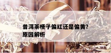 普洱茶梗子偏红还是偏黄？原因解析