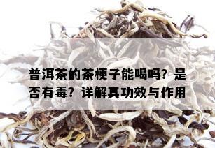 普洱茶的茶梗子能喝吗？是否有？详解其功效与作用