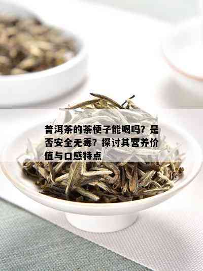 普洱茶的茶梗子能喝吗？是否安全无？探讨其营养价值与口感特点