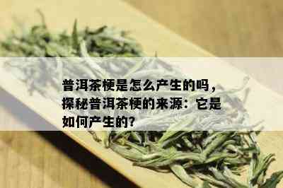 普洱茶梗是怎么产生的吗，探秘普洱茶梗的来源：它是如何产生的？