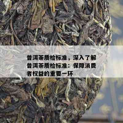 普洱茶质检标准，深入了解普洱茶质检标准：保障消费者权益的重要一环