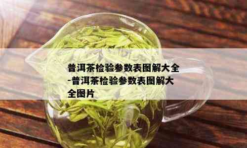 普洱茶检验参数表图解大全-普洱茶检验参数表图解大全图片