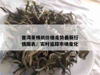 普洱茶棉纸价格走势最新行情图表：实时追踪市场变化