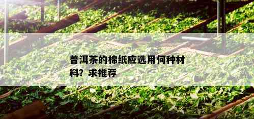 普洱茶的棉纸应选用何种材料？求推荐