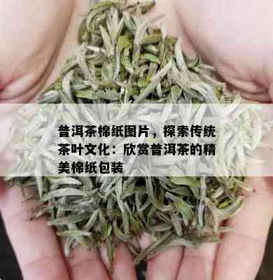 普洱茶棉纸图片，探索传统茶叶文化：欣赏普洱茶的精美棉纸包装