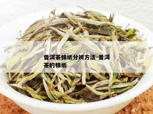 普洱茶棉纸分辨方法-普洱茶的棉纸