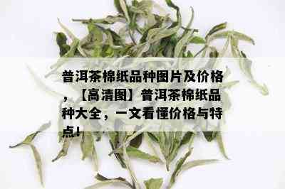 普洱茶棉纸品种图片及价格，【高清图】普洱茶棉纸品种大全，一文看懂价格与特点！