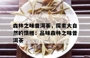 森林之味普洱茶，探索大自然的馈赠：品味森林之味普洱茶