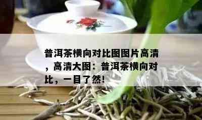 普洱茶横向对比图图片高清，高清大图：普洱茶横向对比，一目了然！