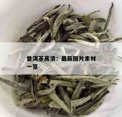 普洱茶高清：最新图片素材一览