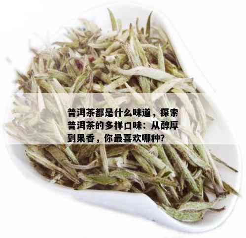 普洱茶都是什么味道，探索普洱茶的多样口味：从醇厚到果香，你最喜欢哪种？