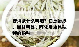 普洱茶什么味道？口感醇厚、回甘明显，陈化后更具独特的韵味