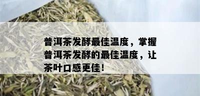 普洱茶发酵更佳温度，掌握普洱茶发酵的更佳温度，让茶叶口感更佳！