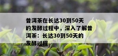 普洱茶在长达30到50天的发酵过程中，深入了解普洱茶：长达30到50天的发酵过程