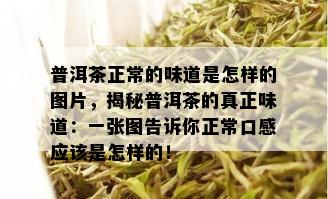 普洱茶正常的味道是怎样的图片，揭秘普洱茶的真正味道：一张图告诉你正常口感应该是怎样的！