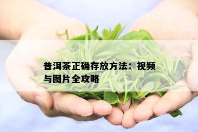 普洱茶正确存放方法：视频与图片全攻略