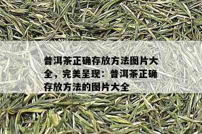 普洱茶正确存放方法图片大全，完美呈现：普洱茶正确存放方法的图片大全