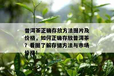 普洱茶正确存放方法图片及价格，如何正确存放普洱茶？看图了解存储方法与市场价格！