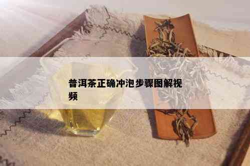 普洱茶正确冲泡步骤图解视频