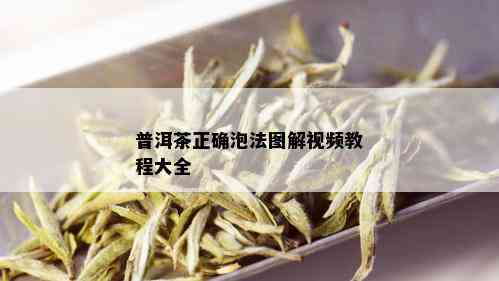 普洱茶正确泡法图解视频教程大全