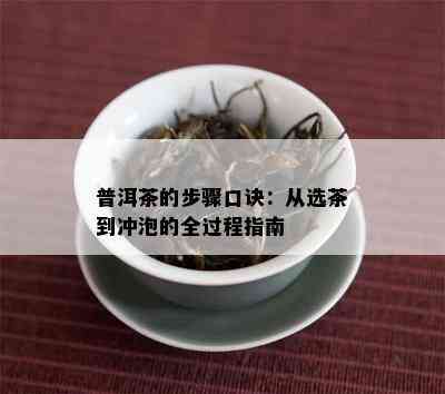 普洱茶的步骤口诀：从选茶到冲泡的全过程指南