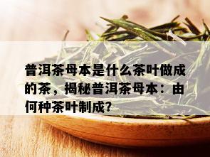 普洱茶母本是什么茶叶做成的茶，揭秘普洱茶母本：由何种茶叶制成？