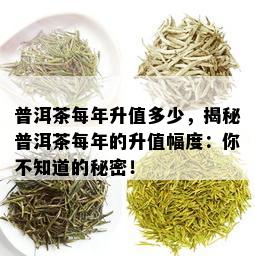 普洱茶每年升值多少，揭秘普洱茶每年的升值幅度：你不知道的秘密！