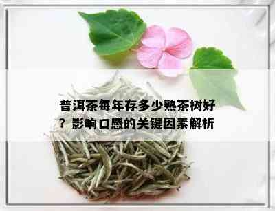 普洱茶每年存多少熟茶树好？影响口感的关键因素解析