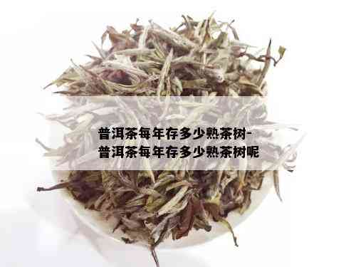 普洱茶每年存多少熟茶树-普洱茶每年存多少熟茶树呢