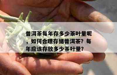 普洱茶每年存多少茶叶量呢，如何合理存储普洱茶？每年应该存放多少茶叶量？