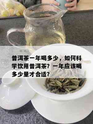 普洱茶一年喝多少，如何科学饮用普洱茶？一年应该喝多少量才合适？