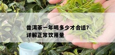 普洱茶一年喝多少才合适？详解正常饮用量