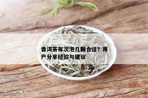 普洱茶每次泡几颗合适？用户分享经验与建议