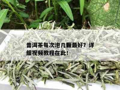 普洱茶每次泡几颗更好？详细视频教程在此！