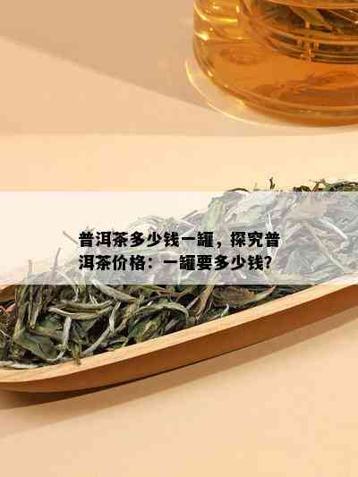 普洱茶多少钱一罐，探究普洱茶价格：一罐要多少钱？