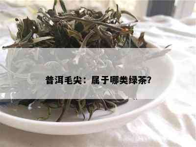 普洱毛尖：属于哪类绿茶？