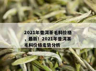 2021年普洱茶毛料价格，最新！2021年普洱茶毛料价格走势分析