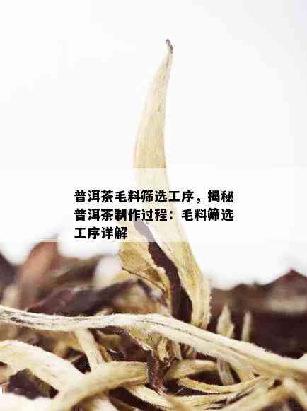 普洱茶毛料筛选工序，揭秘普洱茶制作过程：毛料筛选工序详解