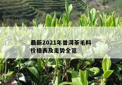 最新2021年普洱茶毛料价格表及走势全览