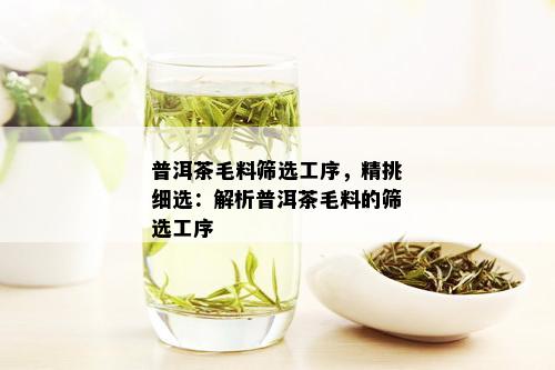 普洱茶毛料筛选工序，精挑细选：解析普洱茶毛料的筛选工序