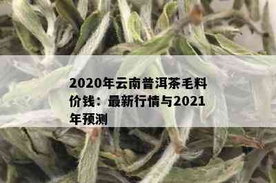 2020年云南普洱茶毛料价钱：最新行情与2021年预测