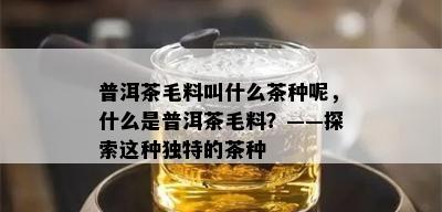 普洱茶毛料叫什么茶种呢，什么是普洱茶毛料？——探索这种独特的茶种