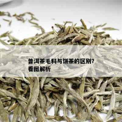 普洱茶毛料与饼茶的区别？看图解析