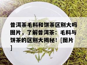 普洱茶毛料和饼茶区别大吗图片，了解普洱茶：毛料与饼茶的区别大揭秘！[图片]