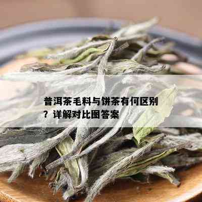 普洱茶毛料与饼茶有何区别？详解对比图答案