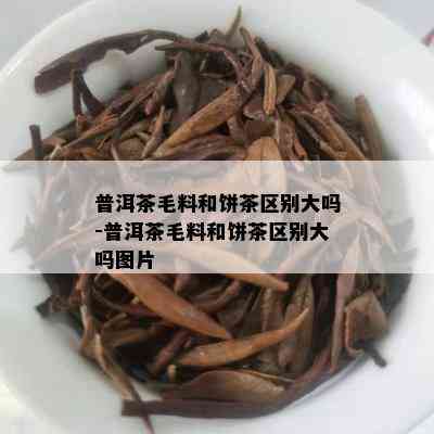 普洱茶毛料和饼茶区别大吗-普洱茶毛料和饼茶区别大吗图片