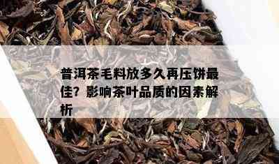 普洱茶毛料放多久再压饼更佳？影响茶叶品质的因素解析